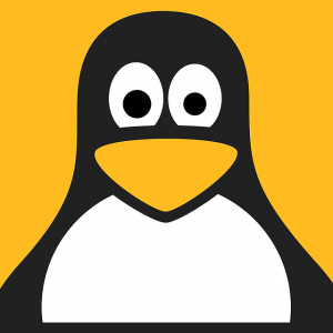 Cover Image for Linux Presentation Day